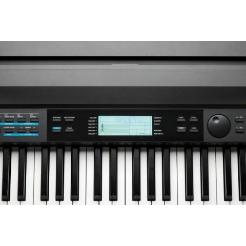 Kurzweil KA-120 Piano 88 teclas contrapesadas