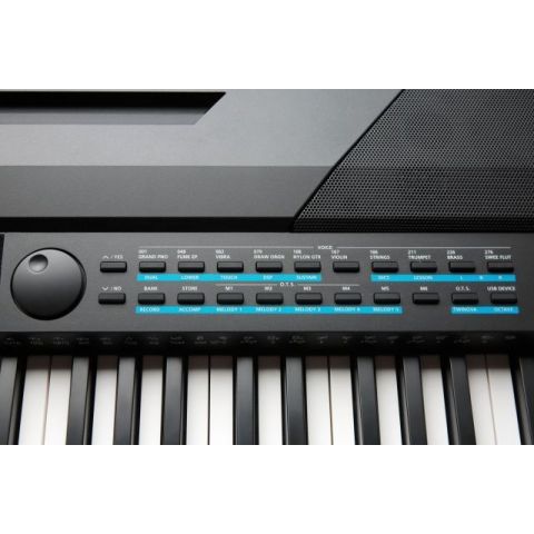 Kurzweil KA-120 Piano 88 teclas contrapesadas
