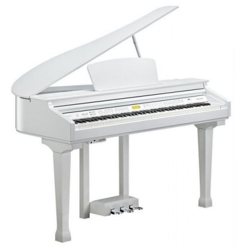 Kurzweil Kag-100 Blanco Pulido