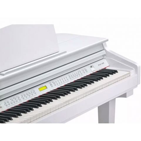 Kurzweil Kag-100 Blanco Pulido