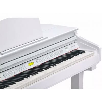 Kurzweil Kag-100 Blanco Pulido