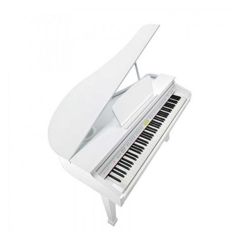 Kurzweil Kag-100 Blanco Pulido