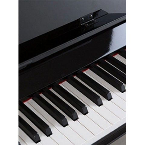 ProKeys S-65 Negro Pulido Piano