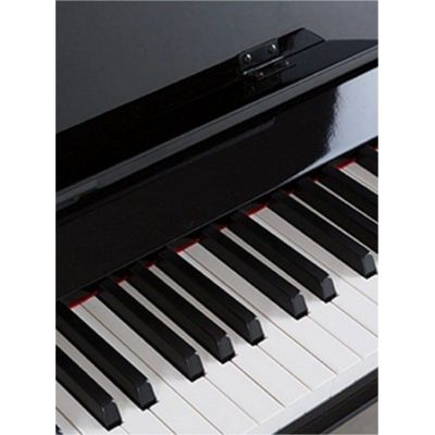 ProKeys S-65 Negro Pulido Piano