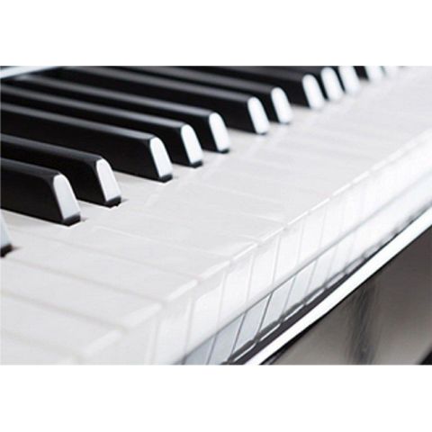 ProKeys S-65 Negro Pulido Piano