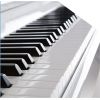 ProKeys S-65 Blanco Pulido Piano