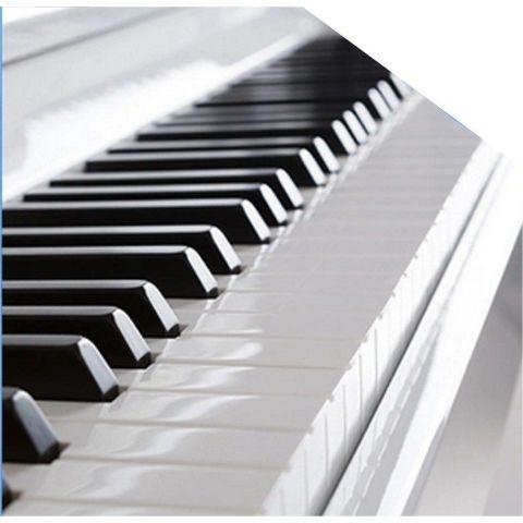 ProKeys S-65 Blanco Pulido Piano