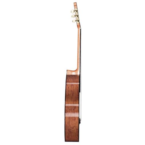 Duke Basic C Guitarra Clásica