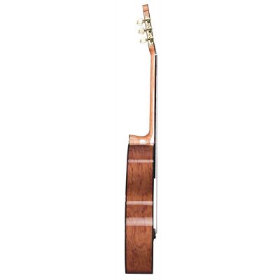 Duke Basic C Guitarra Clásica