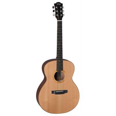 Duke GA-MC Guitarra acústica Natural