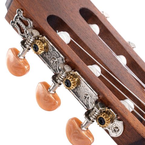 Cort AC100DX OP Guitarra Clasica con funda