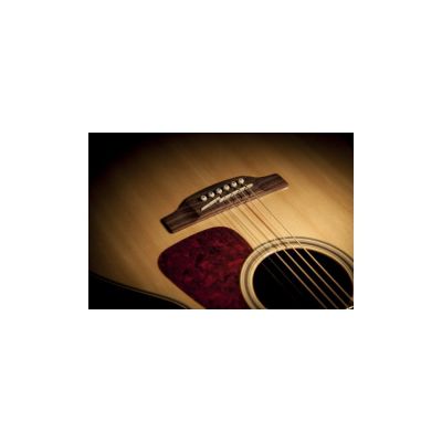 Takamine Gn93Ce-Nat
