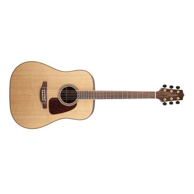 Takamine GY93  NEW YORKER - NATURAL