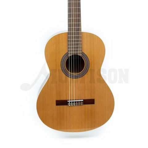 Jose Torres JTC-5 SB