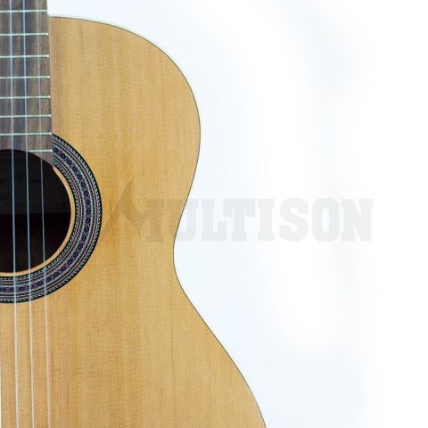 Jose Torres JTC-5 SB
