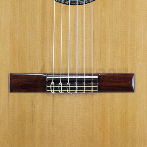 Jose Torres JTC-5 SB