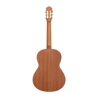 JOSE TORRES JTC-20S GUITARRA CLÁSICA 4 4