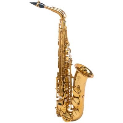 Selmer Signature Lacado Saxofón Alto Dorado Goldmessing Grabado DGG