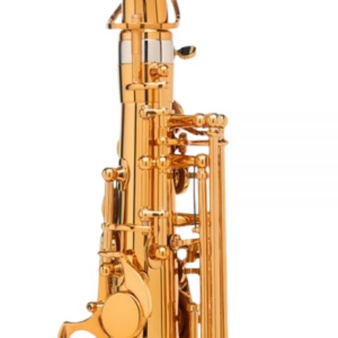Selmer Signature Lacado Saxofón Alto Dorado Goldmessing Grabado DGG