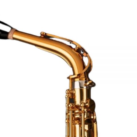 Selmer Signature Lacado Saxofón Alto Dorado Goldmessing Grabado DGG