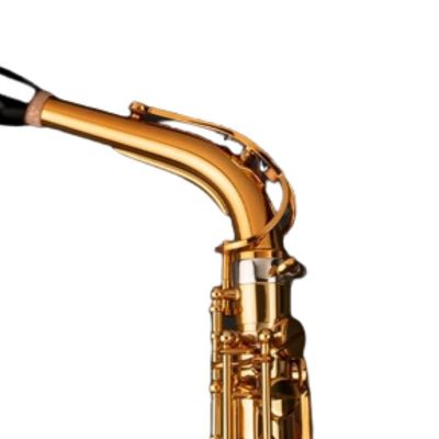 Selmer Signature Lacado Saxofón Alto Dorado Goldmessing Grabado DGG