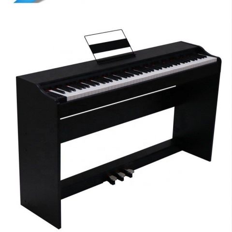 PROKEYS S-55 BK Piano 7 octavas con 88 teclas contrapesadas