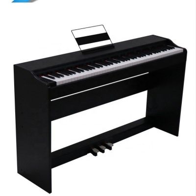 PROKEYS S-55 BK Piano 7 octavas con 88 teclas contrapesadas