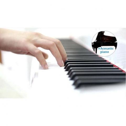 PROKEYS S-55 BK Piano 7 octavas con 88 teclas contrapesadas