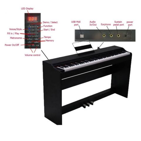 PROKEYS S-55 BK Piano 7 octavas con 88 teclas contrapesadas
