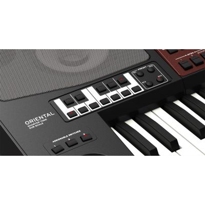 KORG PA700 COMPLETO + SONIDOS ORIENTAL