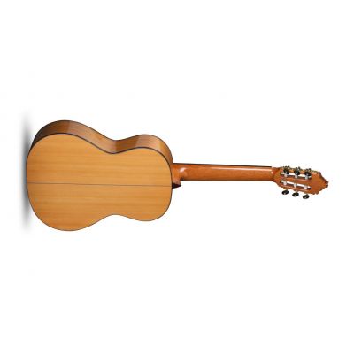 Alhambra 8Fc Flamenco Ciprés Macizo 2