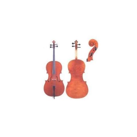 berona corelli 13 viola