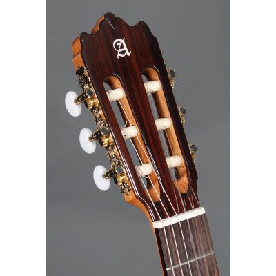 Alhambra Ziricote CTW E8 Fishman ( caja estrecha ) + Funda Alhambra 10mm 9730