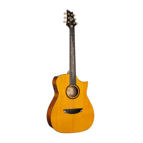 Cort Luxe Ii Nat W Case