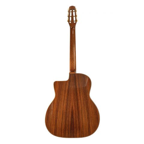 Jose Torres JTG-11-0 Guitarra Gypsy Brillante