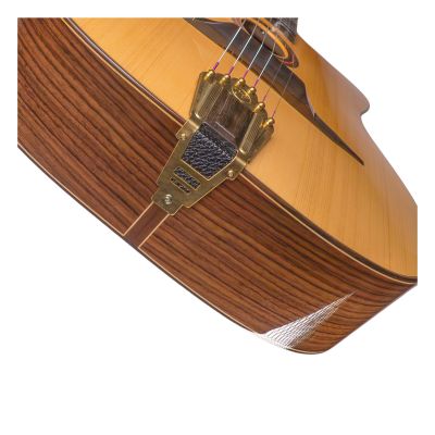 Jose Torres JTG-11-0 Guitarra Gypsy Brillante