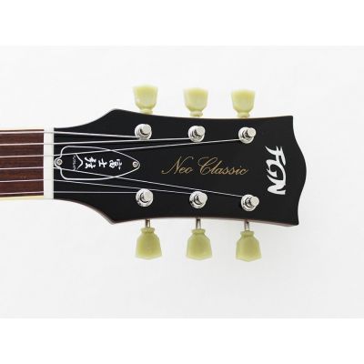 Fujigen NLS11RMPAG Les Paul AG Guitarra Eléctrica
