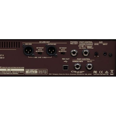 Boss ACOUSTIC SINGER PRO Amplificador guitarra acustica