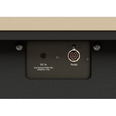 Roland KF-20 KW Kiyola Piano digital Premium Pure Oak