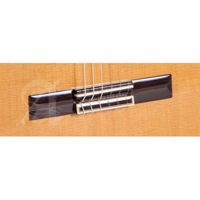 Alhambra Premier Pro Madagascar 2