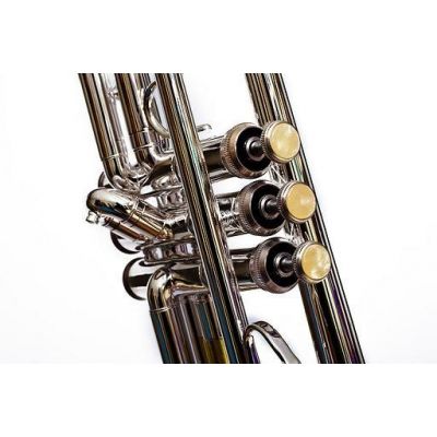 Bressant TR-530S Trompeta