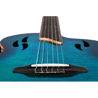Ortega Tourplayer RTPDLX-FMA Blue