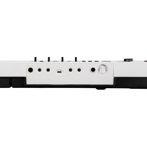 Korg LIANO LIVE! Piano digital
