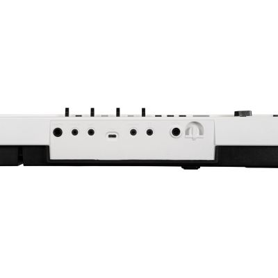 Korg LIANO LIVE! Piano digital