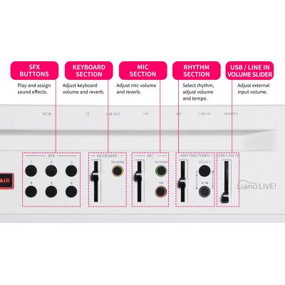 Korg LIANO LIVE! Piano digital