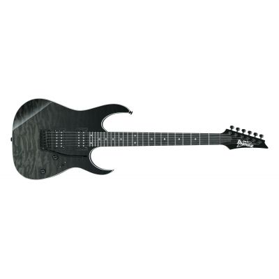 Ibanez GRG120QASP-BKG Guitarra Eléctrica Black Gradation