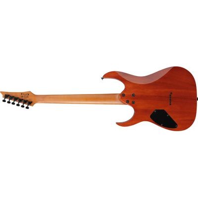 Ibanez GRGR221FA-TDK Guitarra Eléctrica Transparent Indigo Black 2