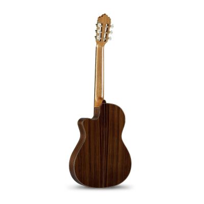 Alhambra 5P CT FISHMAN E2 2