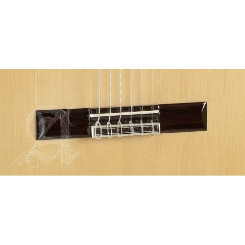 Alhambra 10FC Fishman Prefix-Plus (E3) 