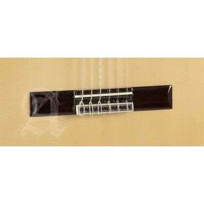 Alhambra 10FC Fishman Prefix-Plus (E3) 